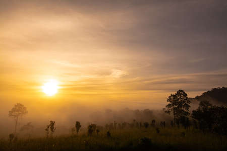 Landscape of Grassland and trees in Thung Salaeng Luang National Park Phetchabun province Thailand.の写真素材