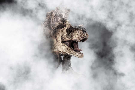 Carnotaurus  Dinosaur on  smoke backgroundの写真素材
