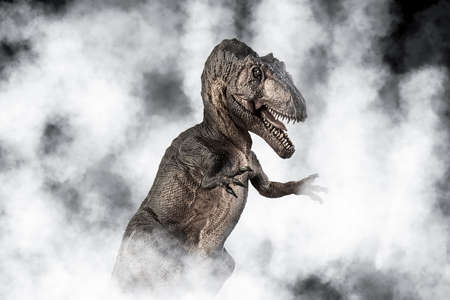 Giganotosaurus Dinosaur on smoke background