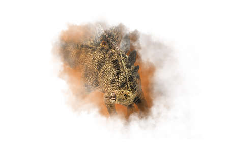 Stegosaurus , dinosaur on smoke backgroundの写真素材