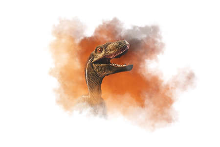 dinosaur , Velociraptor on smoke backgroundの写真素材