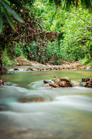 small stream in green forest  Yala Thailandの写真素材