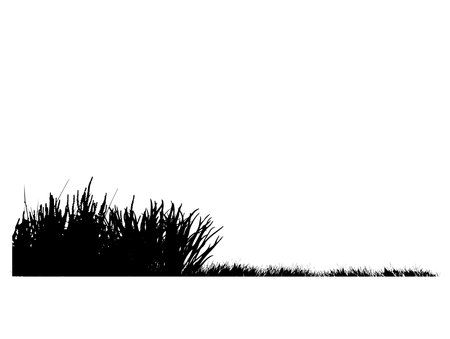 grass silhouette landscape banners of wavy meadows with grassのイラスト素材