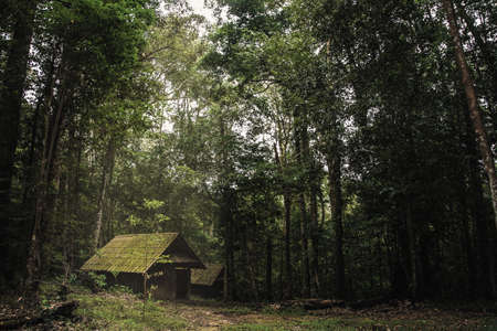 Old wooden cottage in the forest .の写真素材