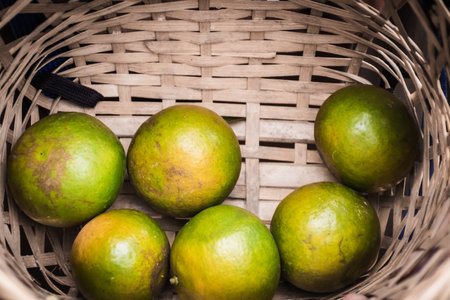 Closeup of satsumas Bang Mot tangerine ripening on treeの写真素材