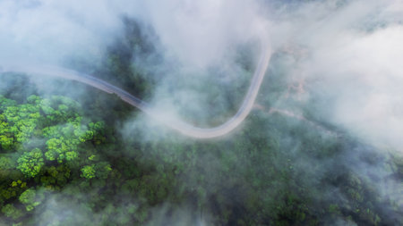 Aerial view of landscape green forest