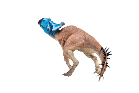 Protoceratops  , dinosaur on  isolated backgroundの写真素材