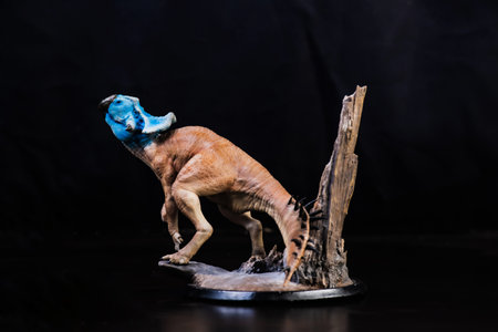 Protoceratops  , dinosaur on black backgroundの写真素材