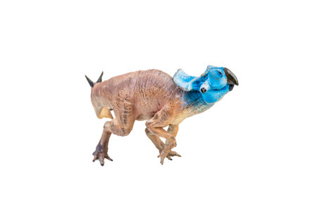 Protoceratops  , dinosaur on  isolated backgroundの写真素材