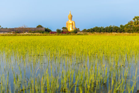 The back of a large golden yellow buddha At Wat Muang, which is an important religious tourist destination In Ang Thong Province in Thailand .の写真素材