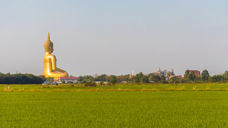 The back of a large golden yellow buddha At Wat Muang, which is an important religious tourist destination In Ang Thong Province in Thailand .の写真素材