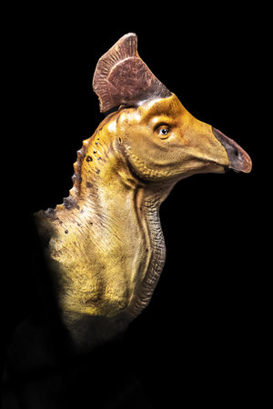 The head of Olorotitan in the dark , dinosaur on black backgroundの写真素材