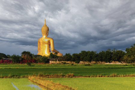 The back of a large golden yellow buddha At Wat Muang, which is an important religious tourist destination In Ang Thong Province in Thailand .の写真素材
