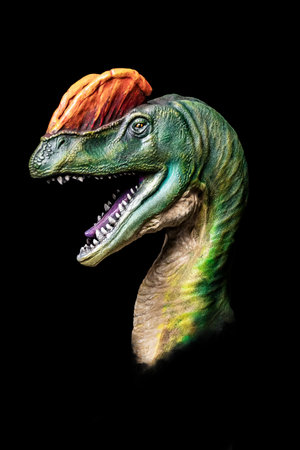 The head of Dilophosaurus in the dark , dinosaur on black backgroundの写真素材