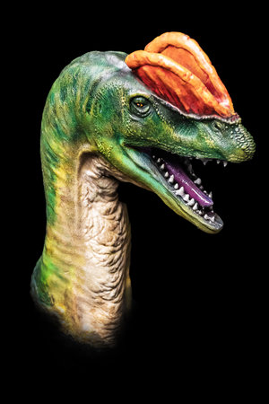 The head of Dilophosaurus in the dark , dinosaur on black backgroundの写真素材