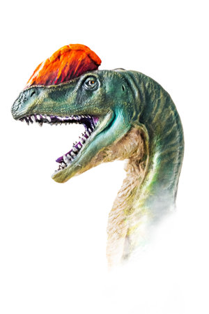 The head of  Dilophosaurus , dinosaur on  isolated background  .の写真素材