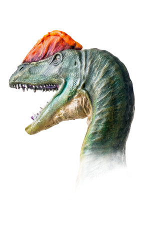The head of  Dilophosaurus , dinosaur on  isolated background  .の写真素材