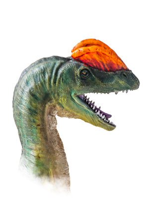 The head of  Dilophosaurus , dinosaur on  isolated background  .の写真素材
