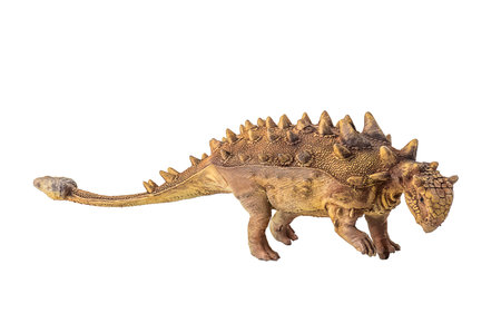 Ankylosaurus , dinosaur on  isolated backgroundの写真素材