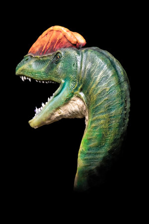 The head of Dilophosaurus in the dark , dinosaur on black backgroundの写真素材