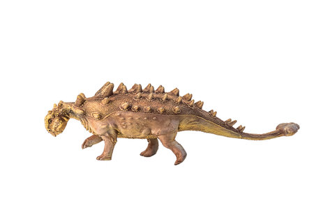 Ankylosaurus , dinosaur on  isolated backgroundの写真素材