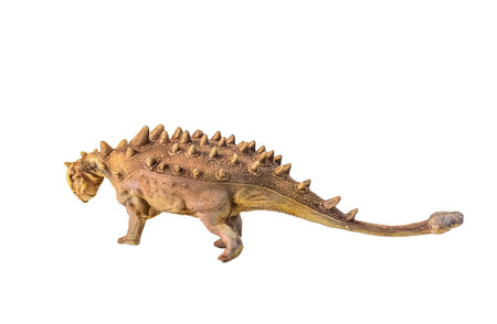 Ankylosaurus , dinosaur on  isolated backgroundの写真素材