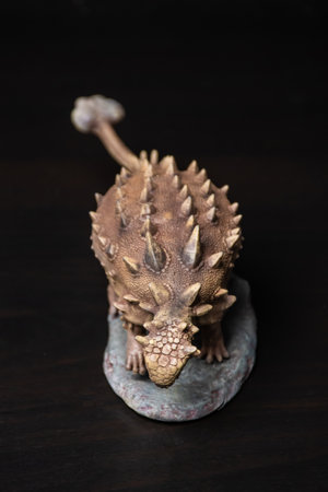 Ankylosaurus dinosaur  in the darkの写真素材