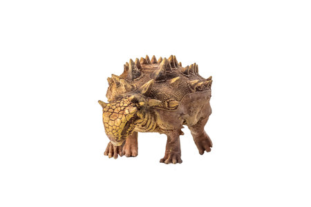 Ankylosaurus , dinosaur on  isolated backgroundの写真素材