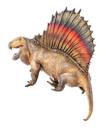 dinosaur ,  Dimetrodon   isolated backgroundの写真素材