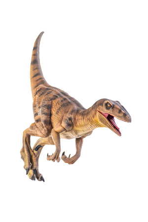 dinosaur , Velociraptor  isolated backgroundの写真素材