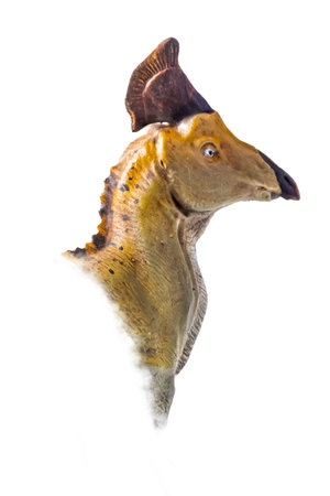 The head of  Olorotitan , dinosaur on  isolated background  .の写真素材