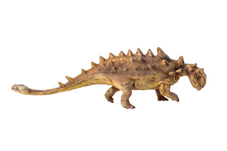 Ankylosaurus , dinosaur on  isolated backgroundの写真素材