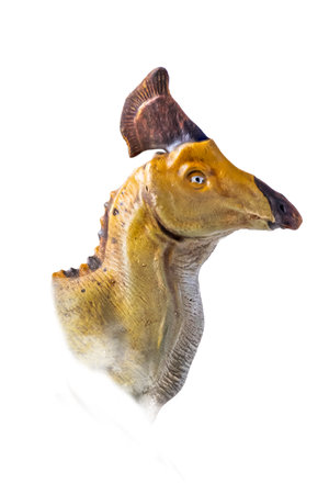 The head of  Olorotitan , dinosaur on  isolated background  .の写真素材