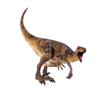 dinosaur , Velociraptor  isolated backgroundの写真素材