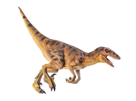 dinosaur , Velociraptor  isolated backgroundの写真素材