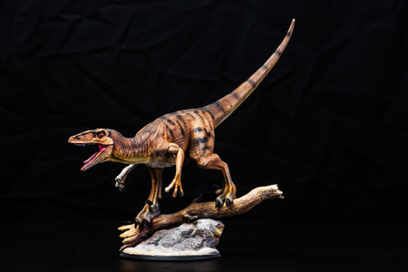 The Velociraptor  dinosaur  in the darkの写真素材