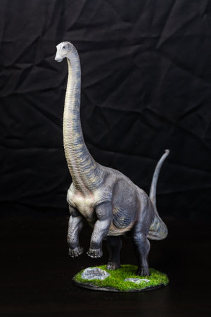 The Brontosaurus dinosaur  in the darkの写真素材