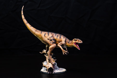 The Velociraptor  dinosaur  in the darkの写真素材