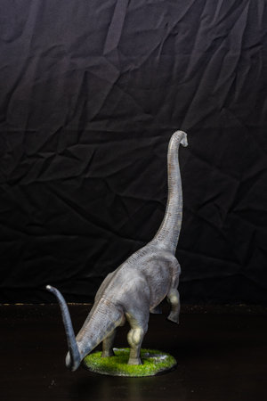 The Brontosaurus dinosaur  in the darkの写真素材