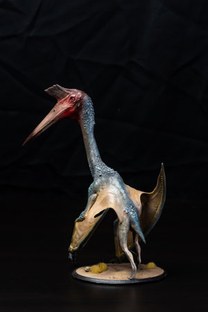 The Pterosaur  dinosaur  in the darkの写真素材