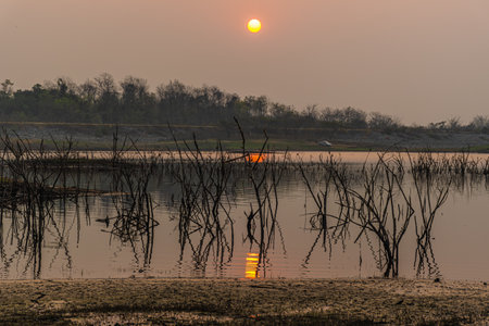 Scenic view of beautiful sunsetの写真素材