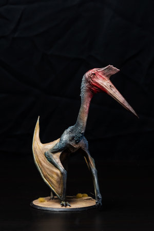 The Pterosaur  dinosaur  in the darkの写真素材