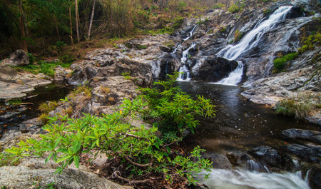 Khlong Nam Lai Waterfall, Beautiful waterfalls in klong Lan national park of Thailandの写真素材
