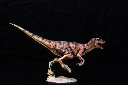 The Velociraptor  dinosaur  in the darkの写真素材