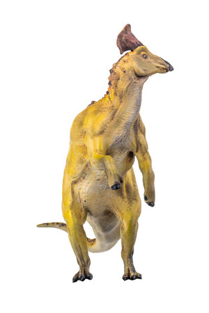 dinosaur , Olorotitan  isolated backgroundの写真素材