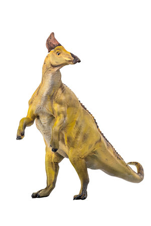 dinosaur , Olorotitan  isolated backgroundの写真素材