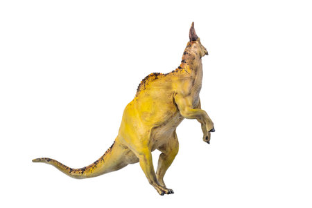 dinosaur , Olorotitan  isolated backgroundの写真素材