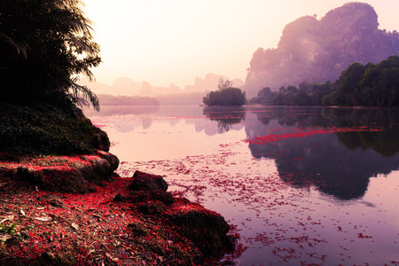 Landscape Nature View of Nong Thale Lake in Krabi Thailandの写真素材