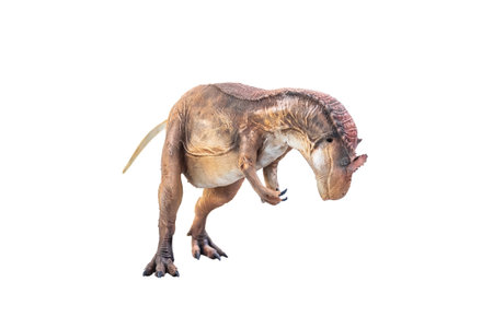 dinosaur , Allosaurus on isolated backgroundの写真素材