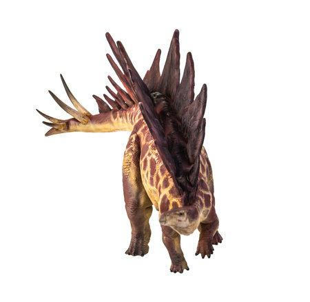 dinosaur , stegosaurus  isolated backgroundの写真素材
